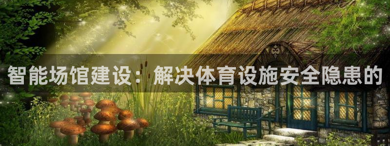 凯捷体育集团E.ON：智能场馆建设：解决体育设施安全隐患的