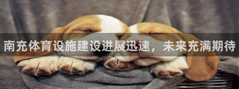 凯捷体育平台假的吗是真的吗：南充体育设施建设进展迅速，未来充