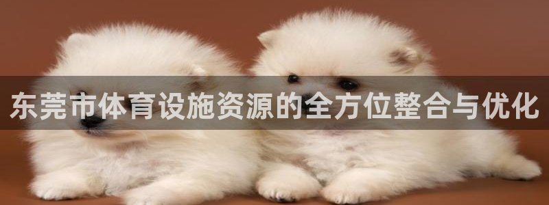 凯捷体育娱乐下载