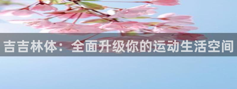 凯捷体育集团E.ON