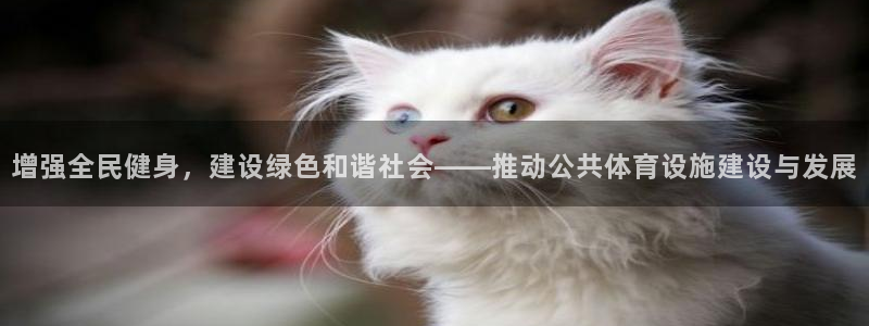 凯捷体育平台APP：增强全民健身，建设绿色和谐社会——推动公