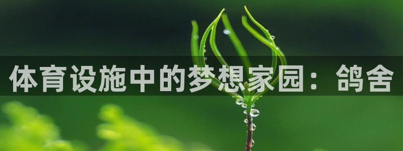 凯捷体育平台假的吗是真的吗：体育设施中的梦想家园：鸽