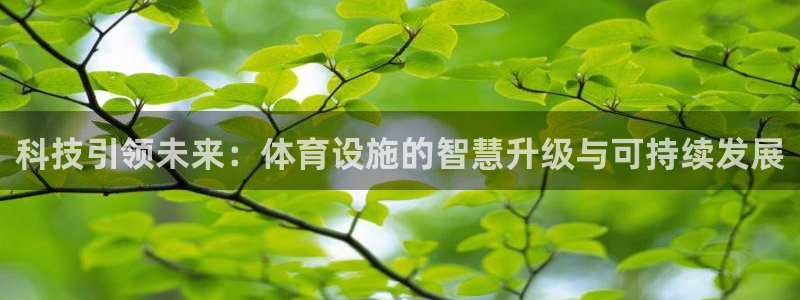 凯捷体育集团简介：科技引领未来：体育设施的智慧升级与