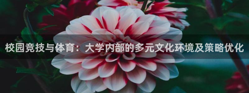 凯捷体育招商电话：校园竞技与体育：大学内部的多元文化