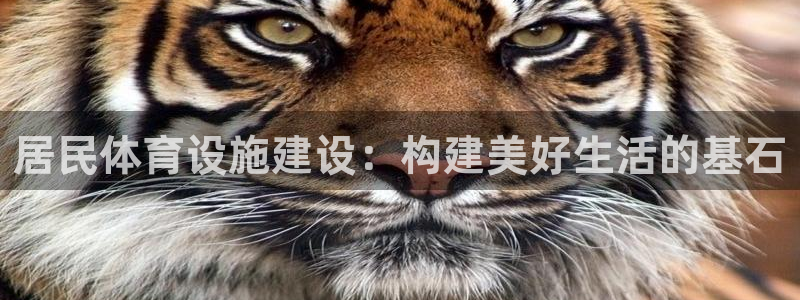 凯捷体育集团logo：居民体育设施建设：构建美好生活