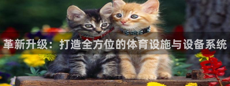 凯捷体育招商电话是多少：革新升级：打造全方位的体育设施与设备