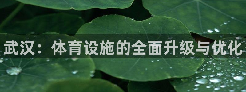 凯捷体育集团官网首页网址：武汉：体育设施的全面升级与优化