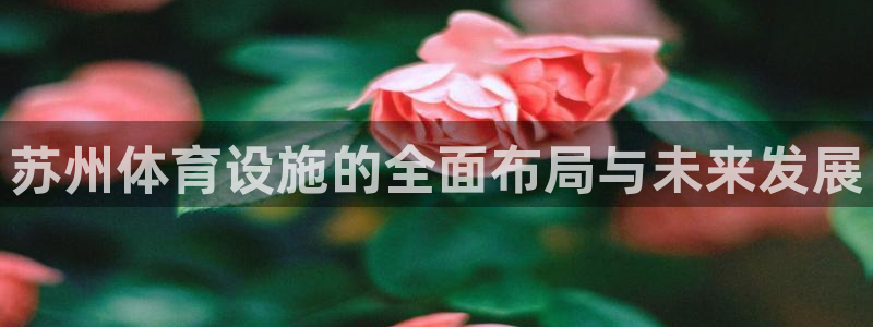 凯捷体育：苏州体育设施的全面布局与未来发展