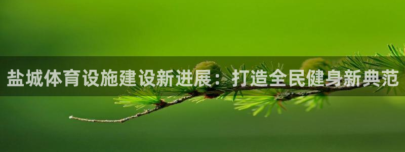 凯捷体育官网：盐城体育设施建设新进展：打造全民健身新典范 