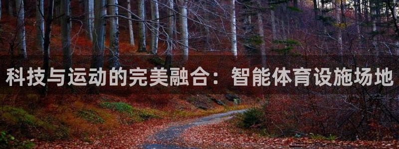 凯捷体育是干嘛的公司：科技与运动的完美融合：智能体育设施场地 