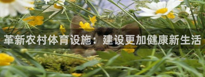 凯捷体育平台是正规平台吗知乎：革新农村体育设施：建设更加健康