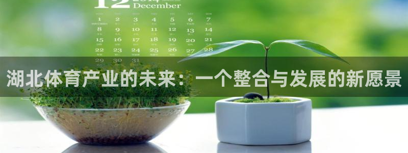 凯捷体育娱乐平台：湖北体育产业的未来：一个整合与发展的新愿景