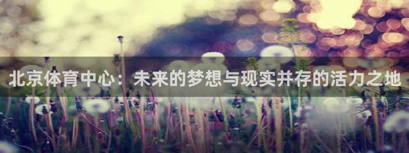 凯捷集团官网：北京体育中心：未来的梦想与现实并存的活力之地