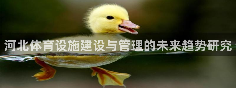 凯捷体育是干嘛的公司：河北体育设施建设与管理的未来趋势研究 