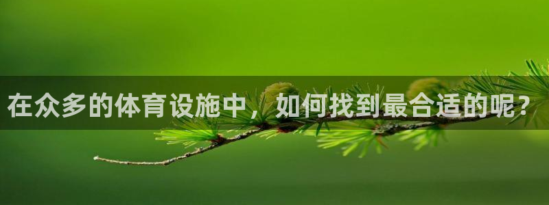 凯捷体育招商电话号码是多少