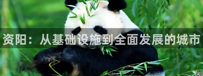 凯捷体育娱乐首页官网下载：资阳：从基础设施到全面发展的城市 