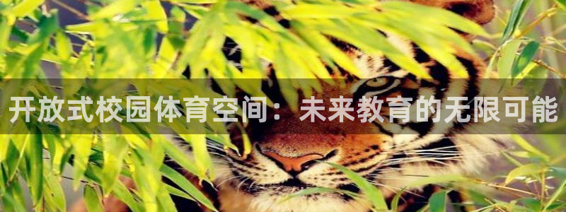 凯捷体育招商电话：开放式校园体育空间：未来教育的无限可能