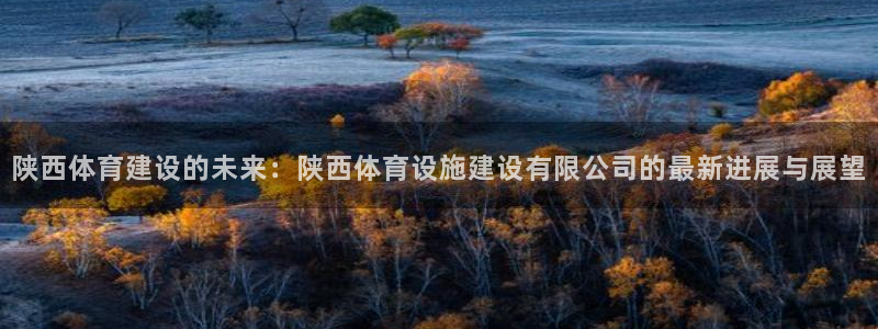 注册凯捷体育：陕西体育建设的未来：陕西体育设施建设有限公司的