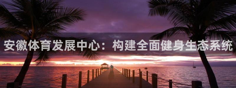 凯捷体育神州：安徽体育发展中心：构建全面健身生态系统 