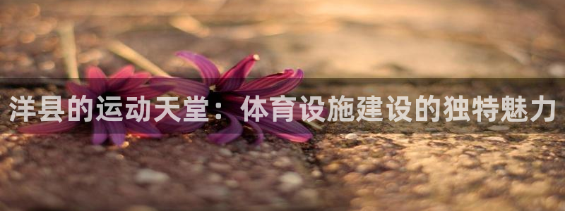 凯捷体育平台APP：洋县的运动天堂：体育设施建设的独特魅力