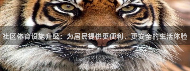 凯捷体育平台APP：社区体育设施升级：为居民提供更便利、更安