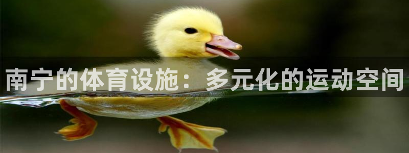 凯捷平台体育：南宁的体育设施：多元化的运动空间