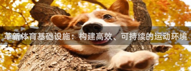 凯捷体育招商电话是多少啊：革新体育基础设施：构建高效、可持续