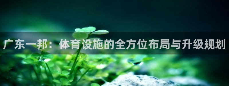 凯捷体育科技：广东一邦：体育设施的全方位布局与升级规划
