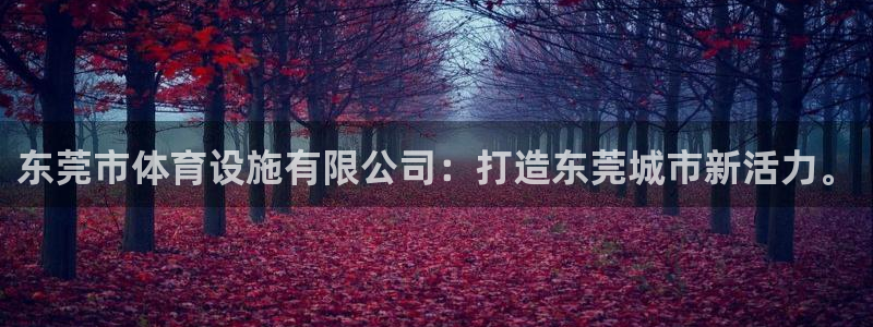 凯捷体育平台注册流程图：东莞市体育设施有限公司：打造东莞城市