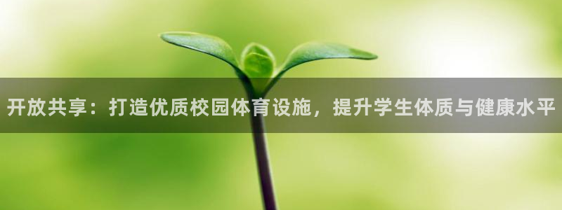 凯捷体育平台是正规平台吗知乎：开放共享：打造优质校园体育设施