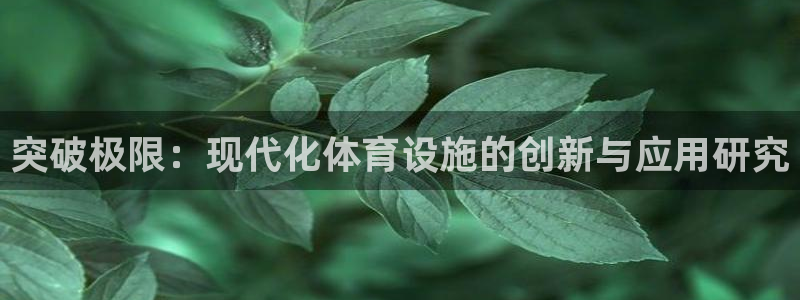 凯捷体育平台注册流程视频：突破极限：现代化体育设施的创新与应 
