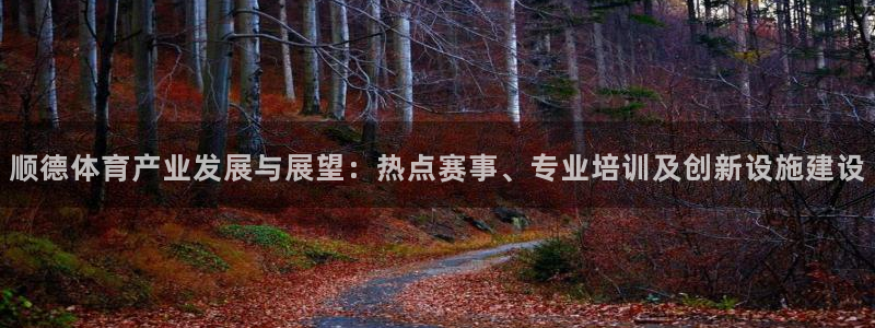 凯捷体育娱乐40996：顺德体育产业发展与展望：热点赛事、专