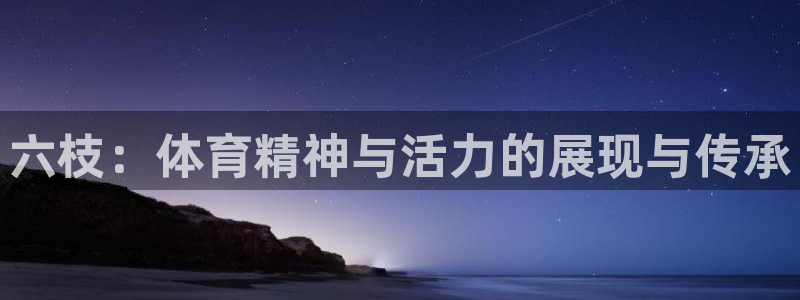 凯捷平台体育：六枝：体育精神与活力的展现与传承