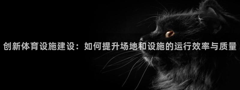 凯捷体育娱乐：创新体育设施建设：如何提升场地和设施的运行效率