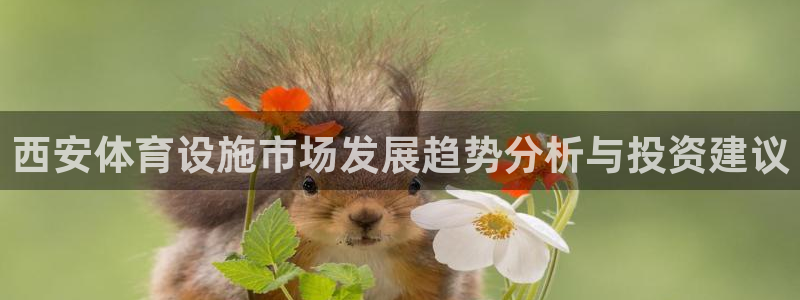 凯捷体育集团官网网址：西安体育设施市场发展趋势分析与投资建议